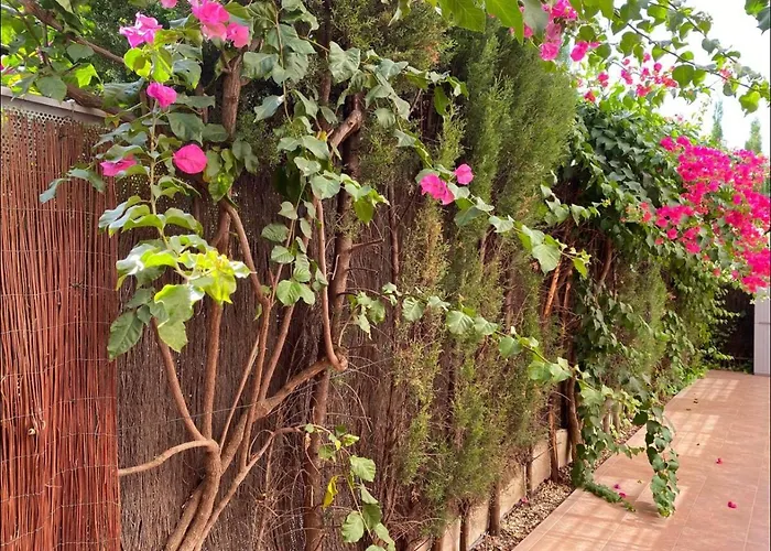 Arruzafa Home