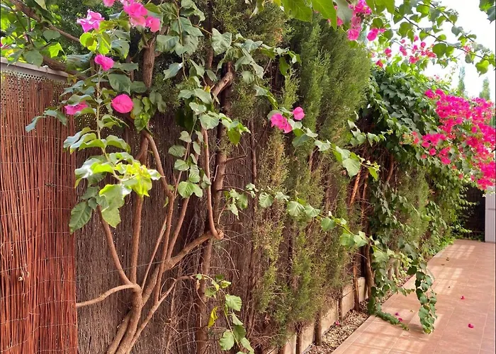 Arruzafa Home